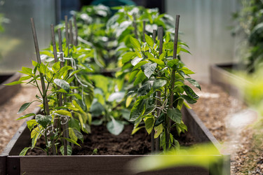 Similar image 22027913