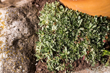 Similar image 22027914