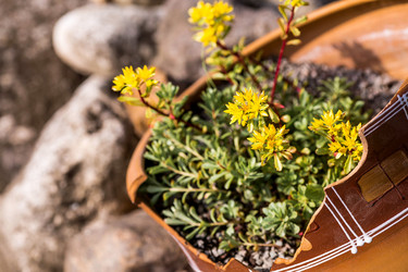 Similar image 22027916