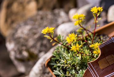 Similar image 22027917