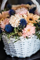 Similar image 22027919