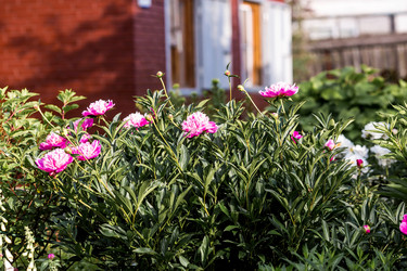 Similar image 22027920