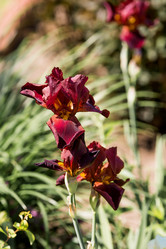 Similar image 22027922