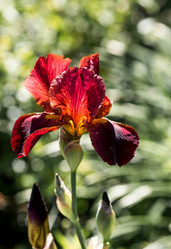 Similar image 22027923