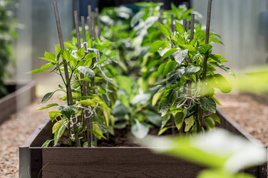 Similar image 22027930