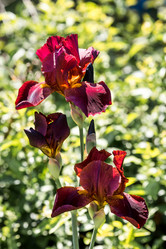 Similar image 22027931