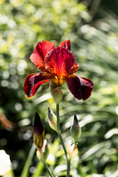 Similar image 22027933