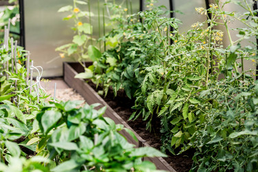 Similar image 22027934