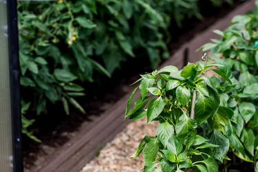 Similar image 22027935