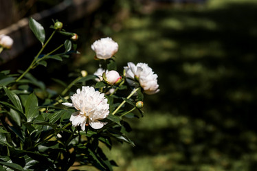 Similar image 22027937