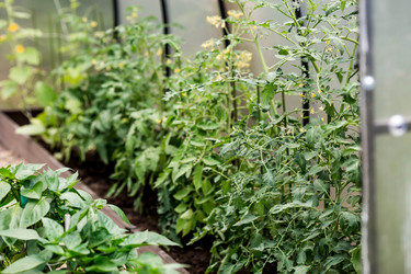 Similar image 22027938