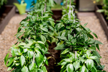 Similar image 22027939