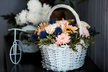 Similar image 22027940