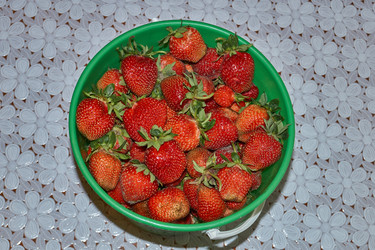 Similar image 22026733