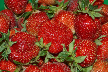 Similar image 22026734