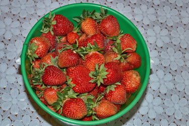 Similar image 22026735