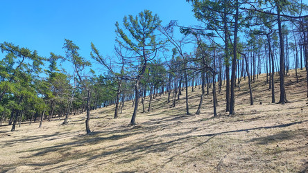 Similar image 22041624