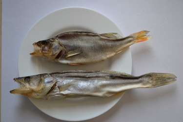 Similar image 22025566