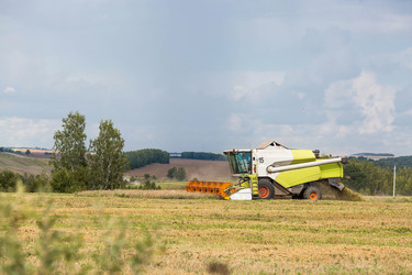 Similar image 22027944