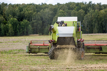 Similar image 22027947