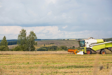 Similar image 22027948