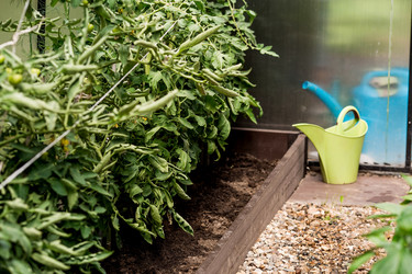 Similar image 22027949