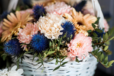 Similar image 22027954