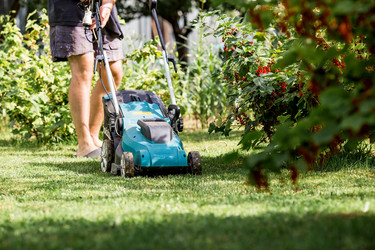 Similar image 22027959