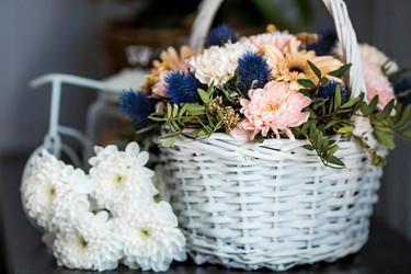 Similar image 22027960