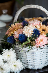 Similar image 22027961