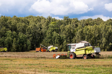 Similar image 22027982