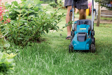 Similar image 22027983