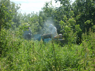 Similar image 22025720