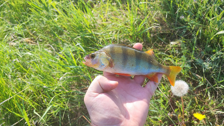 Similar image 22026906