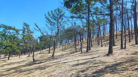 Similar image 22041631