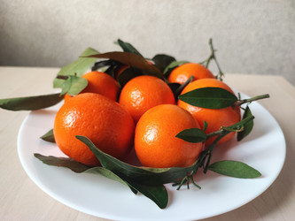 Similar image 22026907