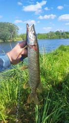 Similar image 22025723