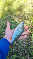 Similar image 22026908