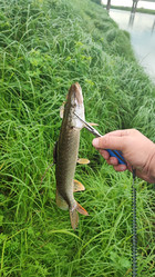 Similar image 22026909