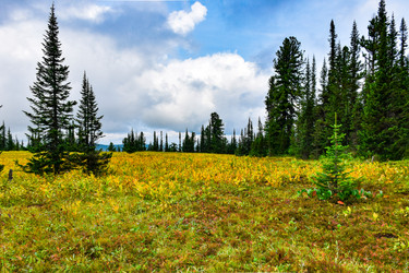 Similar image 22026911