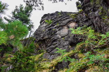 Similar image 22026929