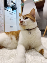 Similar image 22040969