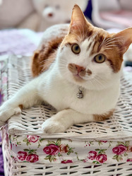 Similar image 22040987