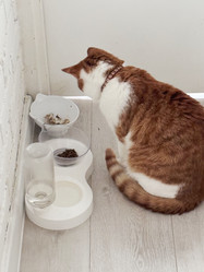 Similar image 22040988