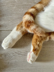 Similar image 22040989