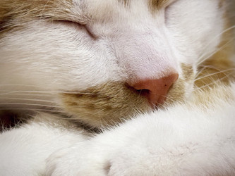 Similar image 22040991