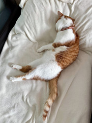 Similar image 22040992