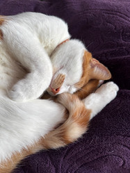 Similar image 22040993