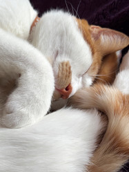 Similar image 22040994