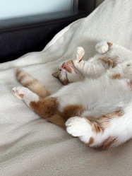 Similar image 22040995